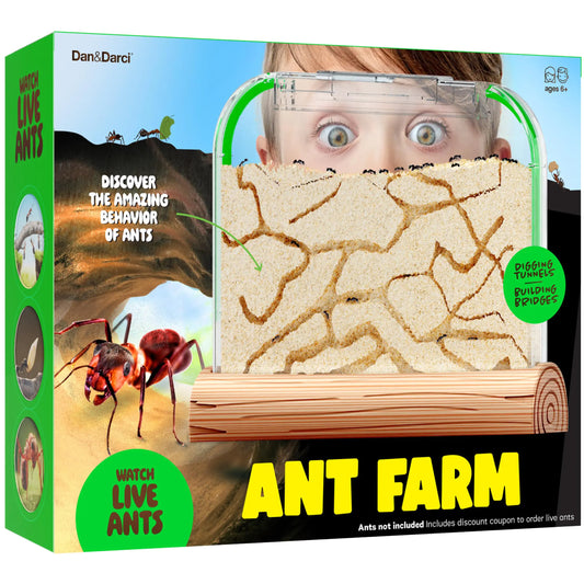 Live Ant Farm Science Kit™ – Watch Real Ants Build Tunnels