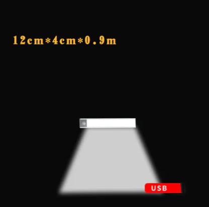 LumiSense™ Motion Sensor LED Light
